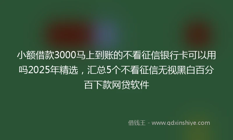 小额借款3000马上到账的不看征信银行卡可以用吗2025年精选，汇总5个不看征信无视黑白百分百下款网贷软件