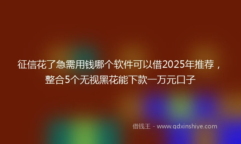 征信花了急需用钱哪个软件可以借2025年推荐,整合5个无视黑花能下款一万元口子