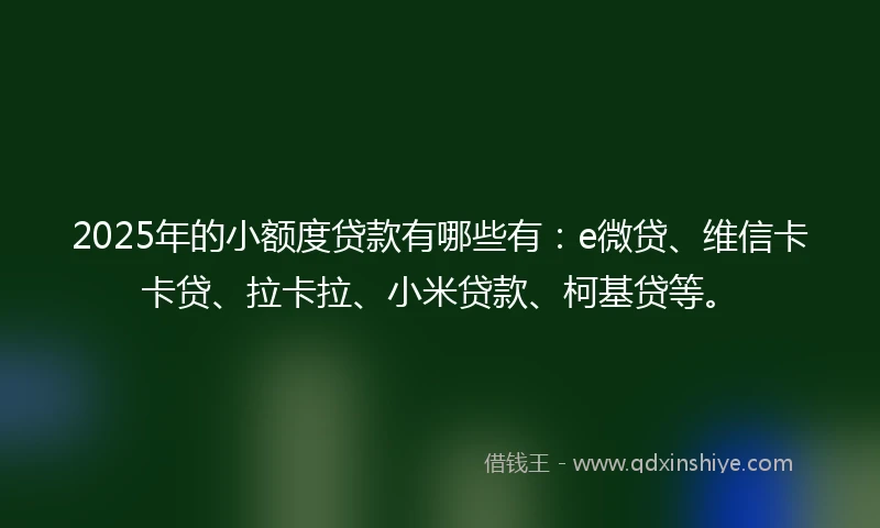 2025年的小额度贷款有哪些有：e微贷、维信卡卡贷、拉卡拉、小米贷款、柯基贷等。