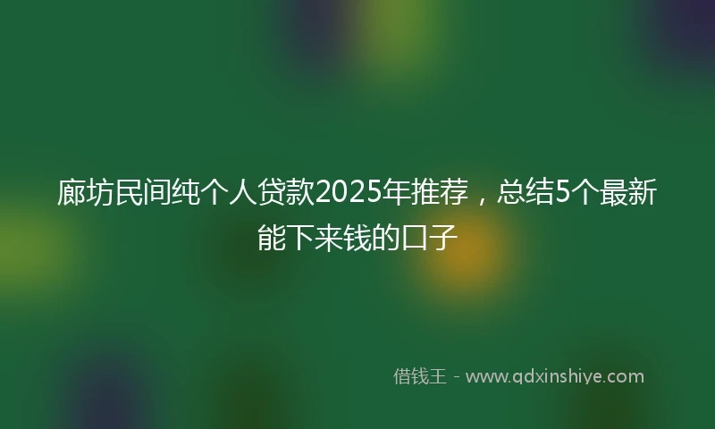 廊坊民间纯个人贷款2025年推荐，总结5个最新能下来钱的口子