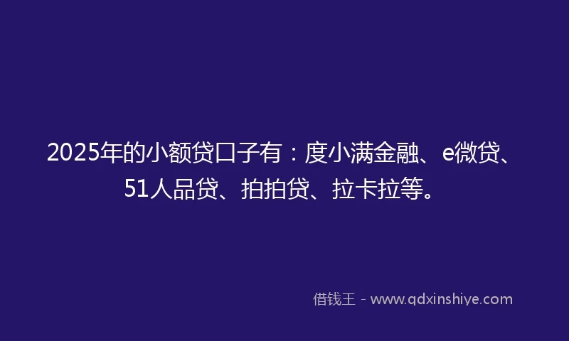2025年的小额贷口子有：度小满金融、e微贷、51人品贷、拍拍贷、拉卡拉等。