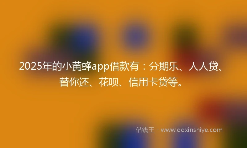 2025年的小黄蜂app借款有：分期乐、人人贷、替你还、花呗、信用卡贷等。