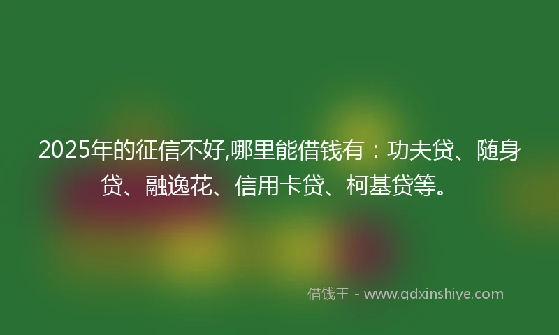 2025年的征信不好,哪里能借钱有：功夫贷、随身贷、融逸花、信用卡贷、柯基贷等。