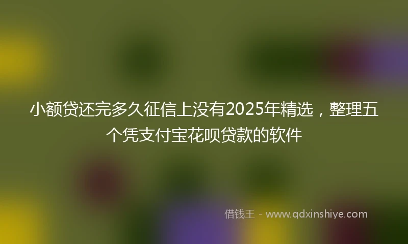 小额贷还完多久征信上没有2025年精选，整理五个凭支付宝花呗贷款的软件