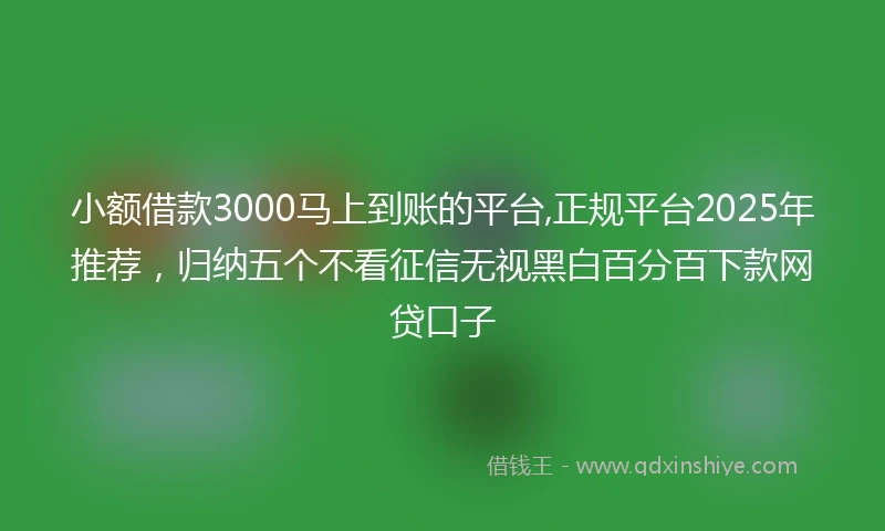 小额借款3000马上到账的平台,正规平台2025年推荐，归纳五个不看征信无视黑白百分百下款网贷口子