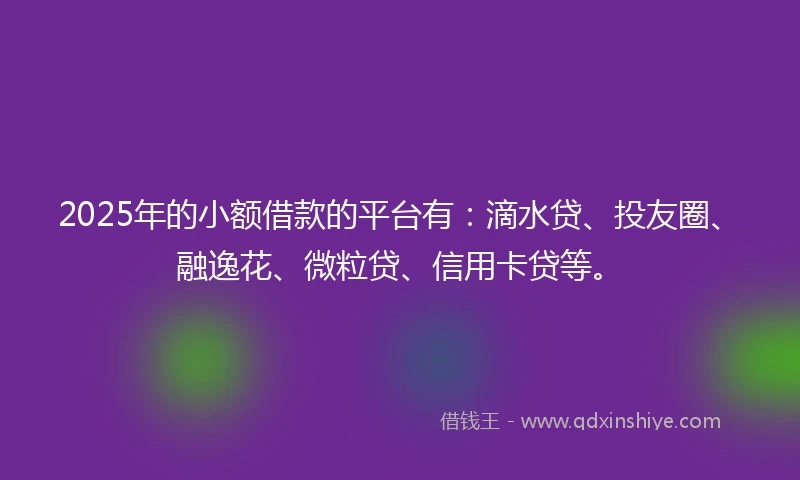 2025年的小额借款的平台有：滴水贷、投友圈、融逸花、微粒贷、信用卡贷等。