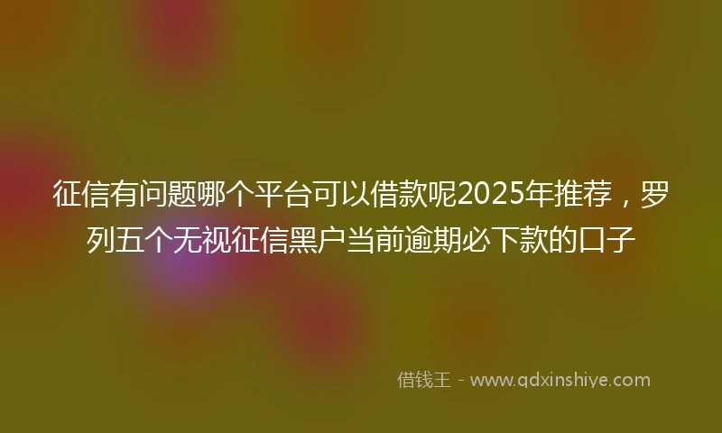 征信有问题哪个平台可以借款呢2025年推荐，罗列五个无视征信黑户当前逾期必下款的口子