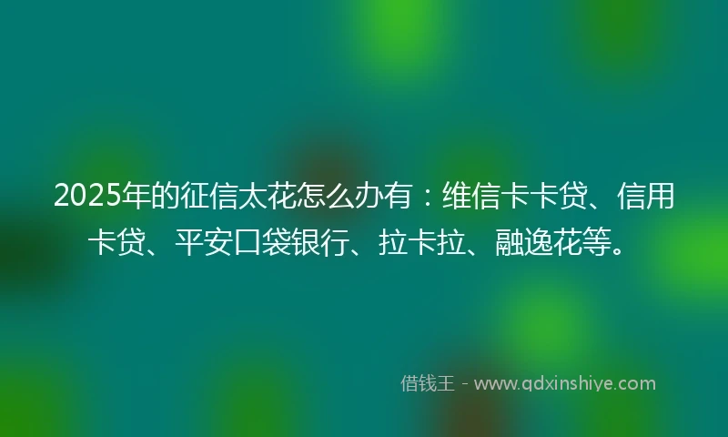 2025年的征信太花怎么办有：维信卡卡贷、信用卡贷、平安口袋银行、拉卡拉、融逸花等。