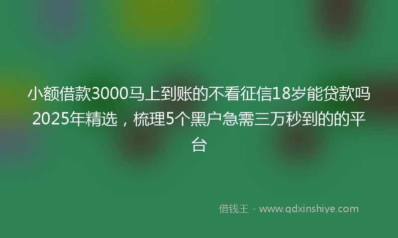 小额借款3000马上到账的不看征信18岁能贷款吗2025年精选，梳理5个黑户急需三万秒到的的平台