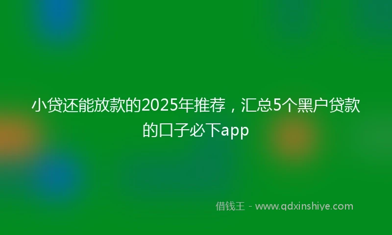 小贷还能放款的2025年推荐，汇总5个黑户贷款的口子必下app
