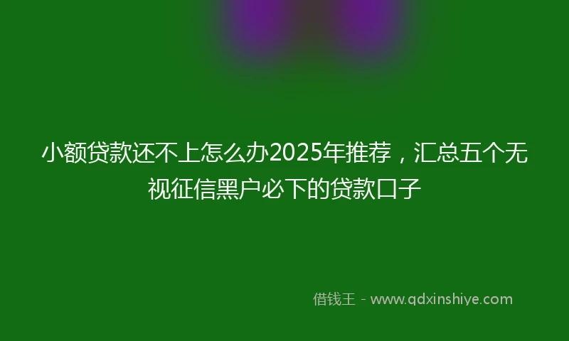 小额贷款还不上怎么办2025年推荐，汇总五个无视征信黑户必下的贷款口子