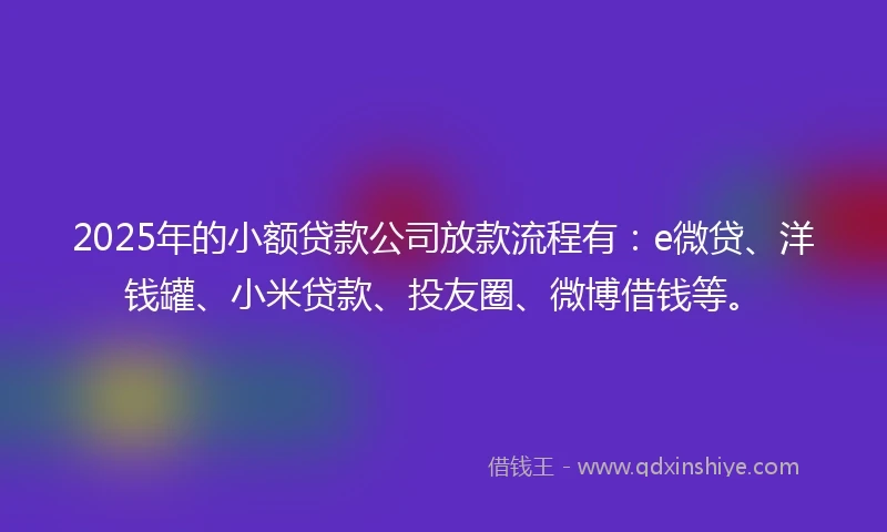 2025年的小额贷款公司放款流程有：e微贷、洋钱罐、小米贷款、投友圈、微博借钱等。