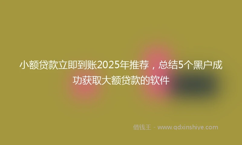 小额贷款立即到账2025年推荐，总结5个黑户成功获取大额贷款的软件