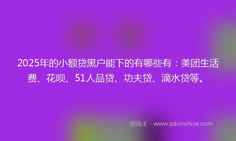 2025年的小额贷黑户能下的有哪些有：美团生活费、花呗、51人品贷、功夫贷、滴水贷等。