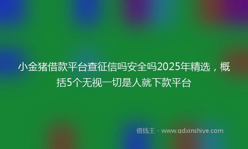 小金猪借款平台查征信吗安全吗2025年精选，概括5个无视一切是人就下款平台