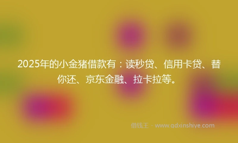2025年的小金猪借款有：读秒贷、信用卡贷、替你还、京东金融、拉卡拉等。