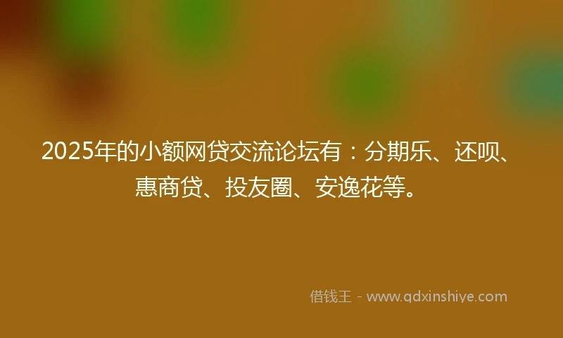 2025年的小额网贷交流论坛有：分期乐、还呗、惠商贷、投友圈、安逸花等。