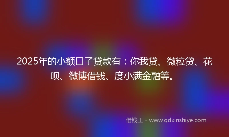 2025年的小额口子贷款有：你我贷、微粒贷、花呗、微博借钱、度小满金融等。