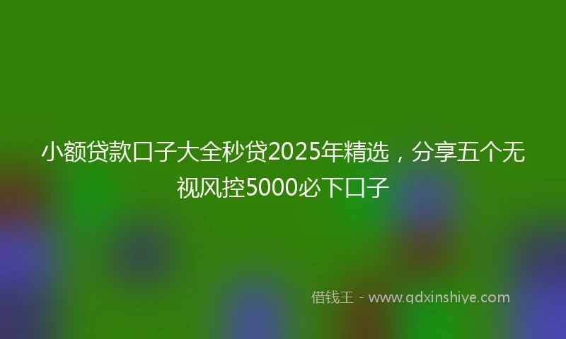 小额贷款口子大全秒贷2025年精选，分享五个无视风控5000必下口子