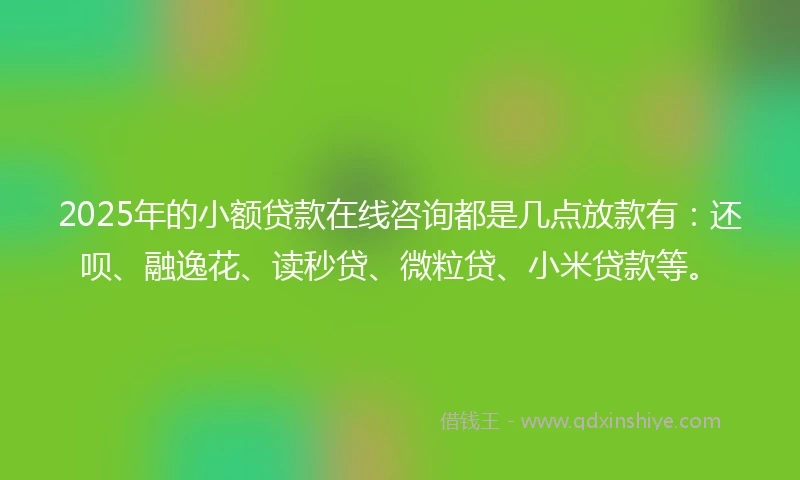 2025年的小额贷款在线咨询都是几点放款有：还呗、融逸花、读秒贷、微粒贷、小米贷款等。