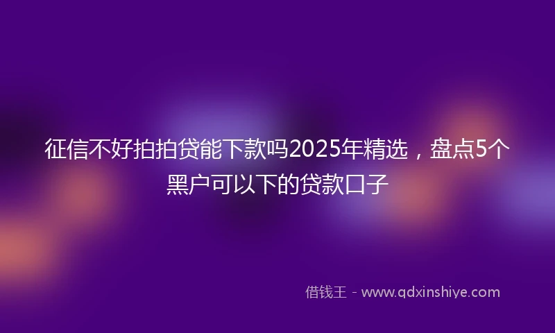 征信不好拍拍贷能下款吗2025年精选，盘点5个黑户可以下的贷款口子