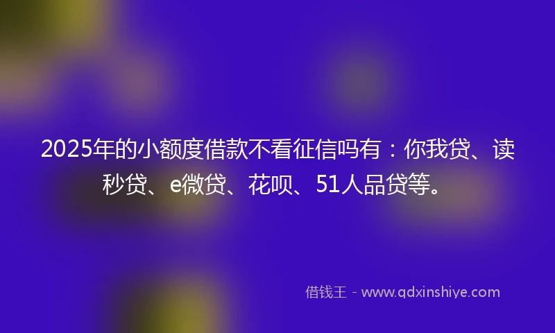 2025年的小额度借款不看征信吗有：你我贷、读秒贷、e微贷、花呗、51人品贷等。