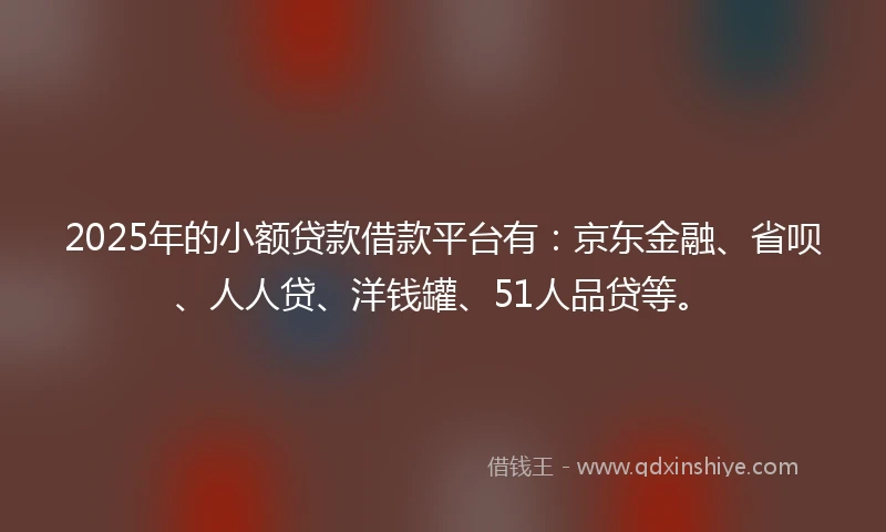 2025年的小额贷款借款平台有：京东金融、省呗、人人贷、洋钱罐、51人品贷等。