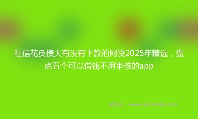 征信花负债大有没有下款的网贷2025年精选，盘点五个可以借钱不用审核的app