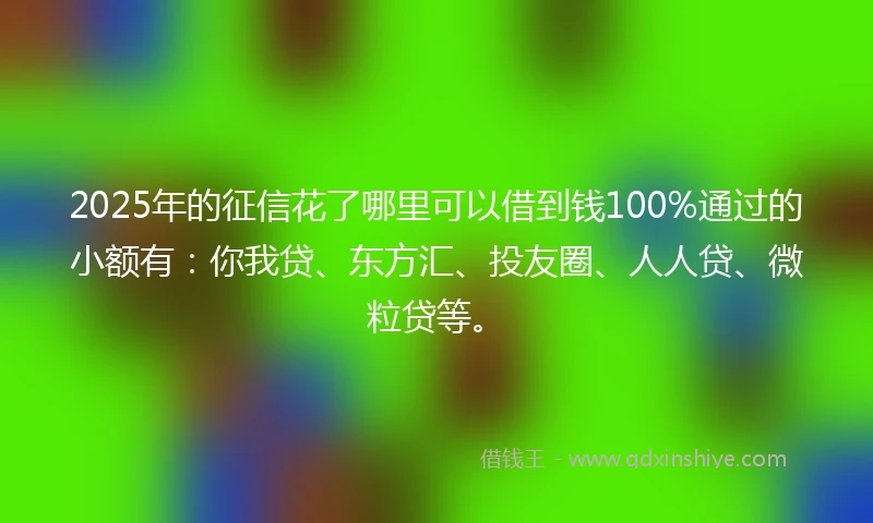 2025年的征信花了哪里可以借到钱100%通过的小额有：你我贷、东方汇、投友圈、人人贷、微粒贷等。