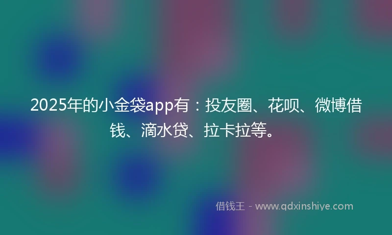 2025年的小金袋app有：投友圈、花呗、微博借钱、滴水贷、拉卡拉等。