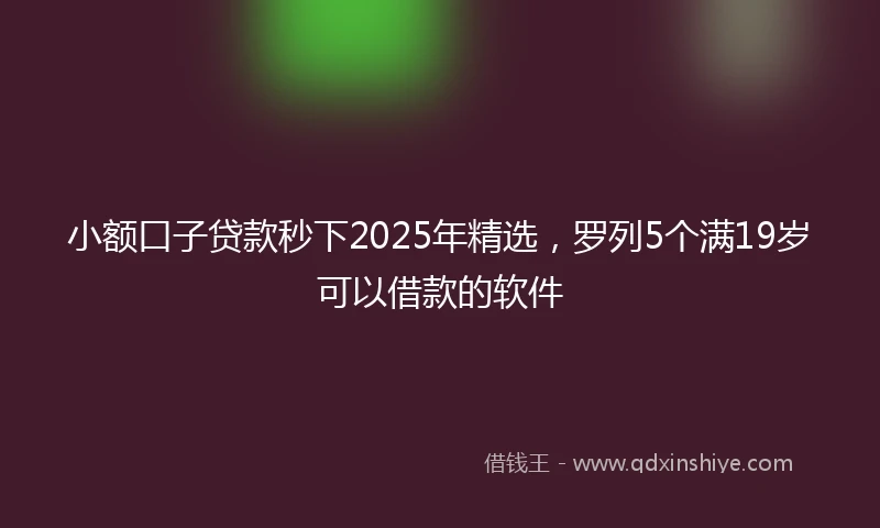 小额口子贷款秒下2025年精选，罗列5个满19岁可以借款的软件