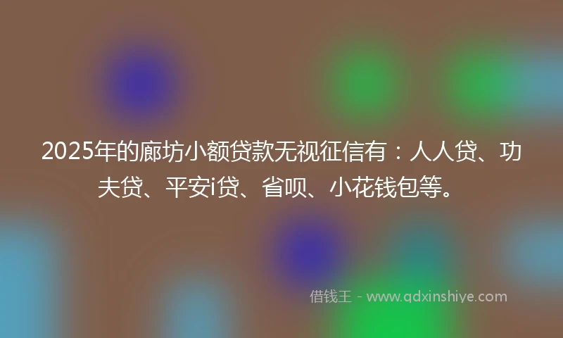 2025年的廊坊小额贷款无视征信有：人人贷、功夫贷、平安i贷、省呗、小花钱包等。