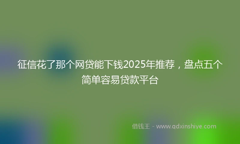 征信花了那个网贷能下钱2025年推荐，盘点五个简单容易贷款平台