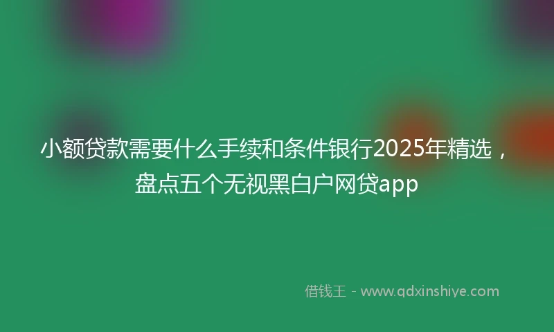 小额贷款需要什么手续和条件银行2025年精选，盘点五个无视黑白户网贷app