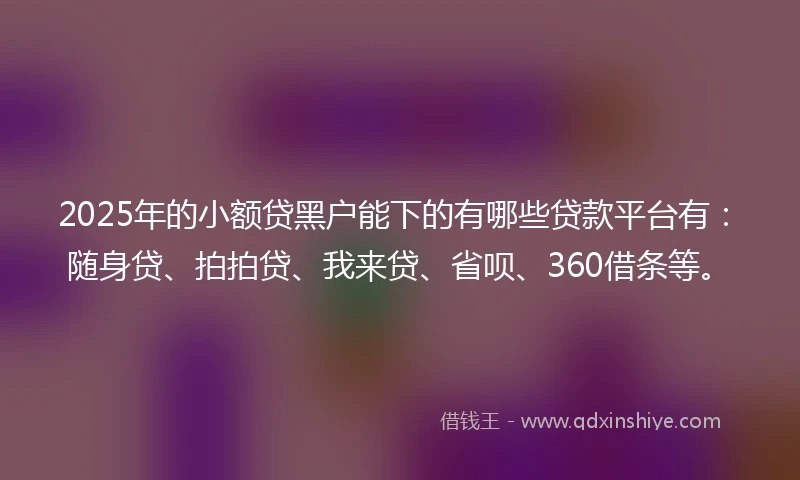 2025年的小额贷黑户能下的有哪些贷款平台有：随身贷、拍拍贷、我来贷、省呗、360借条等。
