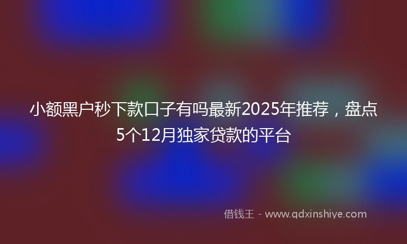 小额黑户秒下款口子有吗最新2025年推荐，盘点5个12月独家贷款的平台