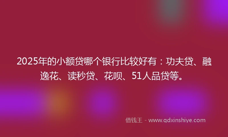 2025年的小额贷哪个银行比较好有：功夫贷、融逸花、读秒贷、花呗、51人品贷等。