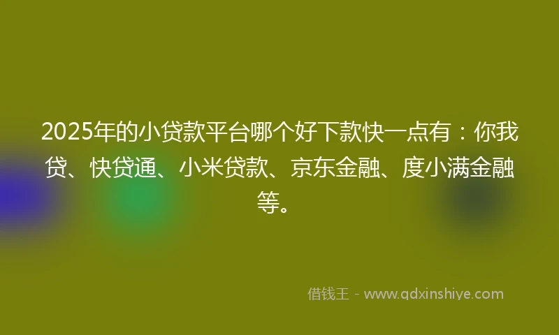 2025年的小贷款平台哪个好下款快一点有：你我贷、快贷通、小米贷款、京东金融、度小满金融等。