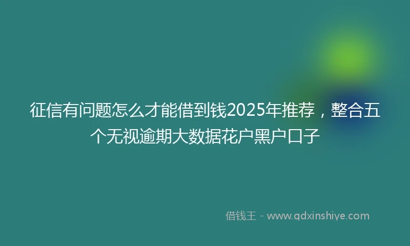 征信有问题怎么才能借到钱2025年推荐，整合五个无视逾期大数据花户黑户口子
