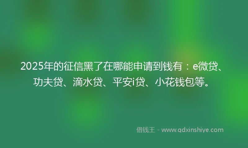 2025年的征信黑了在哪能申请到钱有：e微贷、功夫贷、滴水贷、平安i贷、小花钱包等。