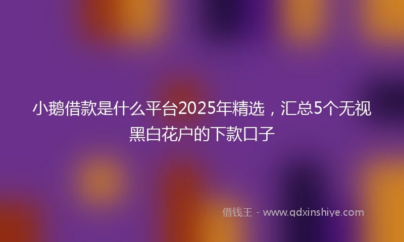小鹅借款是什么平台2025年精选，汇总5个无视黑白花户的下款口子