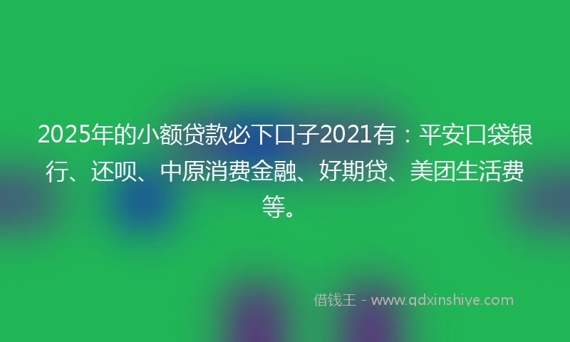 2025年的小额贷款必下口子2021有：平安口袋银行、还呗、中原消费金融、好期贷、美团生活费等。