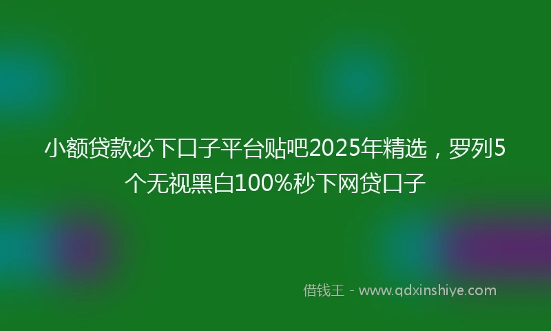 小额贷款必下口子平台贴吧2025年精选，罗列5个无视黑白100%秒下网贷口子