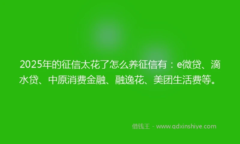 2025年的征信太花了怎么养征信有：e微贷、滴水贷、中原消费金融、融逸花、美团生活费等。