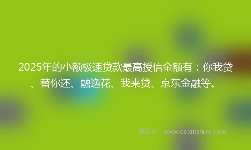 2025年的小额极速贷款最高授信金额有：你我贷、替你还、融逸花、我来贷、京东金融等。