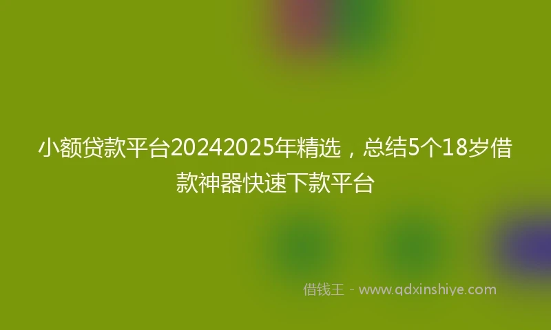 小额贷款平台20242025年精选，总结5个18岁借款神器快速下款平台