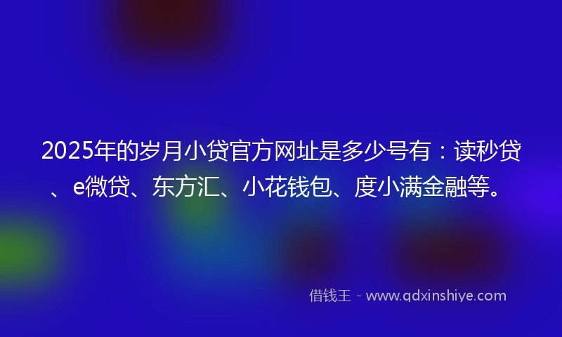 2025年的岁月小贷官方网址是多少号有：读秒贷、e微贷、东方汇、小花钱包、度小满金融等。