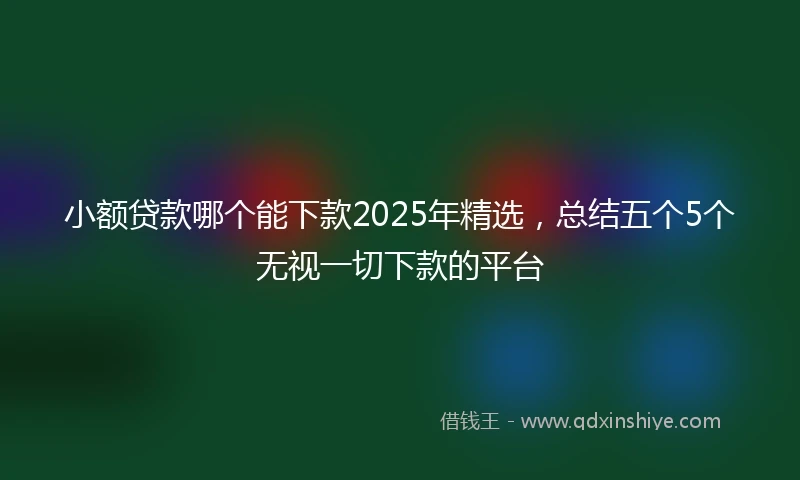 小额贷款哪个能下款2025年精选，总结五个5个无视一切下款的平台
