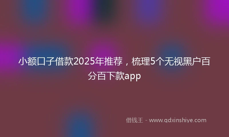 小额口子借款2025年推荐，梳理5个无视黑户百分百下款app