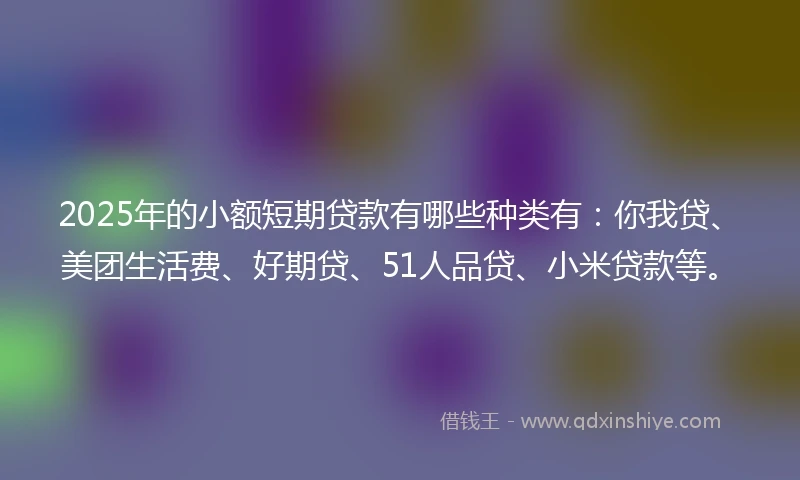 2025年的小额短期贷款有哪些种类有：你我贷、美团生活费、好期贷、51人品贷、小米贷款等。